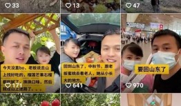 水果大叔爆料视频下载,视频下载背后的秘密大公开