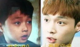 张艺兴天涯八卦爆料视频,揭秘明星幕后故事